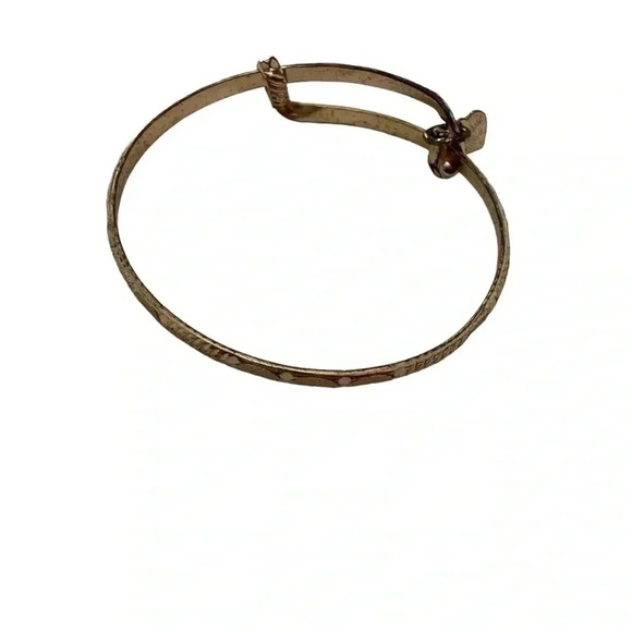 Alex And Ani Adjustable Bracelet American Flag Charm - Picture 6 of 7